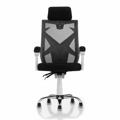 Deals 🎉 Furniture Of America Genova Metal Ergonomic Office Chair In Black And White ✨ -Deals Writing Desks Store 1954164 14 L