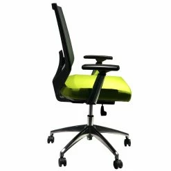 Flash Sale 😍 Benzara Adjustable Mesh Back Ergonomic Office Swivel Chair In Green & Gray 🎁 -Deals Writing Desks Store 2240861 2 L