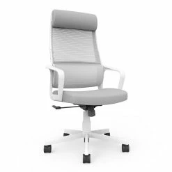 Buy 💯 Furniture Of America Tilah Metal And Mesh Adjustable Office Chair In Gray 🎁 -Deals Writing Desks Store 2393914 7 L