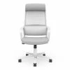 Buy 💯 Furniture Of America Tilah Metal And Mesh Adjustable Office Chair In Gray 🎁 -Deals Writing Desks Store 2393914 L